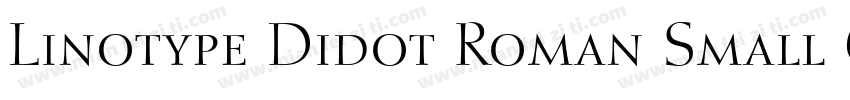 Linotype Didot Roman Small Caps & Oldstyle Figures字体转换